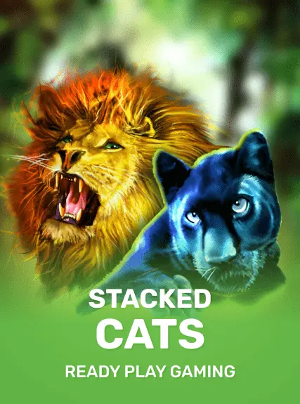 Stacked Cats game tile